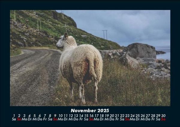 Produktbild: Der Tierkalender 2025 Fotokalender DIN A5