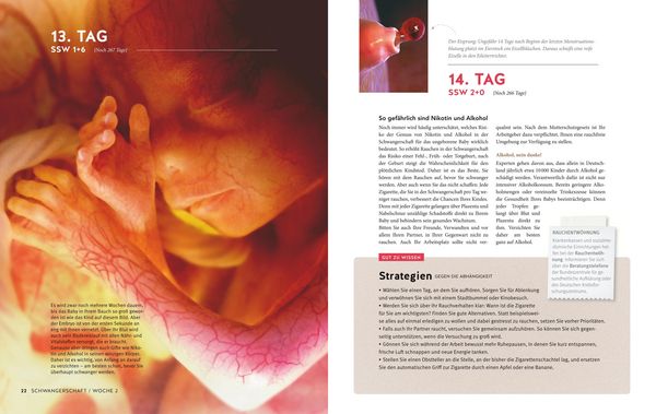 Tag für Tag durch meine Schwangerschaft