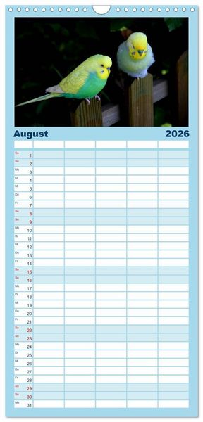 Produktbild: Familienplaner 2026 - Wellensittichtr&auml;ume - Der neue Wellensittich-Naturkalender mit 5 Spalten (Wandkalender, 21 x 45 cm) CALVENDO
