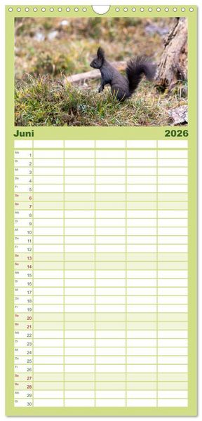 Produktbild: Familienplaner 2026 - Eichh&ouml;rnchenliebe mit 5 Spalten (Wandkalender, 21 x 45 cm) CALVENDO