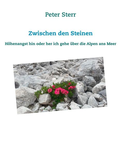 Produktbild: Zwischen den Steinen