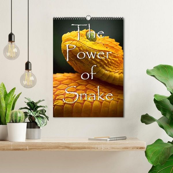 Produktbild: The Power Of Snake (Wandkalender 2026 DIN A3 hoch), CALVENDO Monatskalender