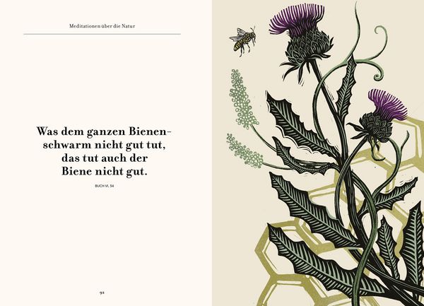 Produktbild: Wege zu sich selbst