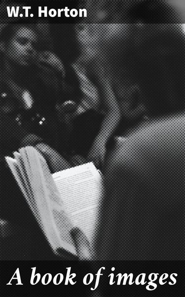 Produktbild: A book of images