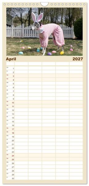 Produktbild: Familienplaner 2027 - Funny Greyhounds - Windhunde mal anders mit 5 Spalten (Wandkalender, 21 x 45 cm) CALVENDO