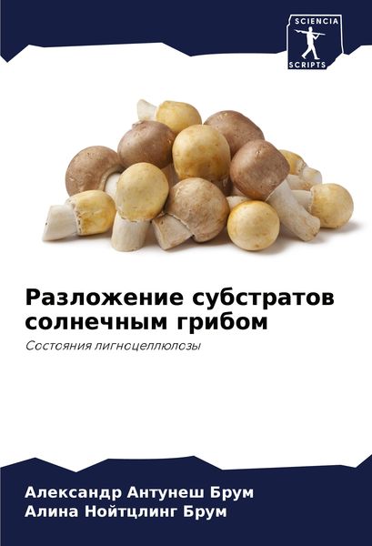 Produktbild: Razlozhenie substratow solnechnym gribom