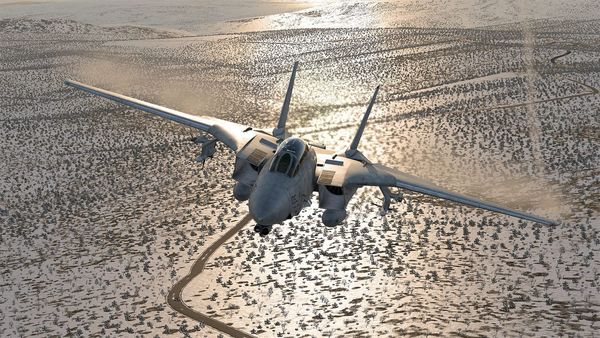 Produktbild: XPlane 12