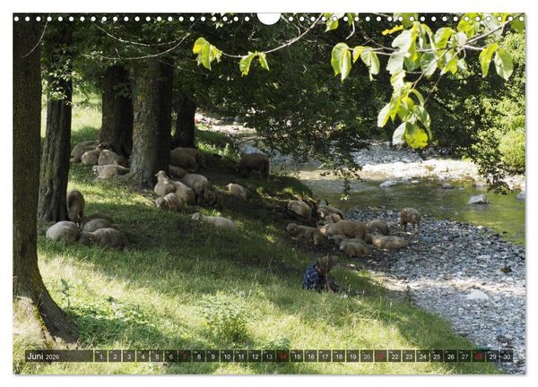 Produktbild: Unterwegs in und um Kronstadt (Wandkalender 2026 DIN A3 quer), CALVENDO Monatskalender