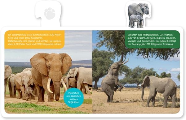 Produktbild: Der Elefant