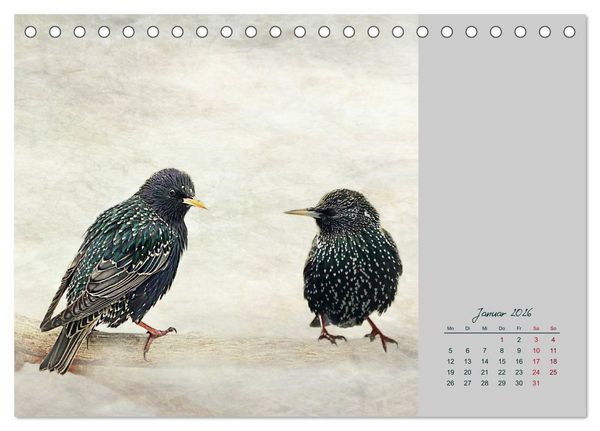 Produktbild: Kalenderspr&uuml;che (Tischkalender 2026 DIN A5 quer), CALVENDO Monatskalender