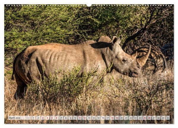Produktbild: Abenteuerliches Namibia (hochwertiger Premium Wandkalender 2026 DIN A2 quer), Kunstdruck in Hochglanz