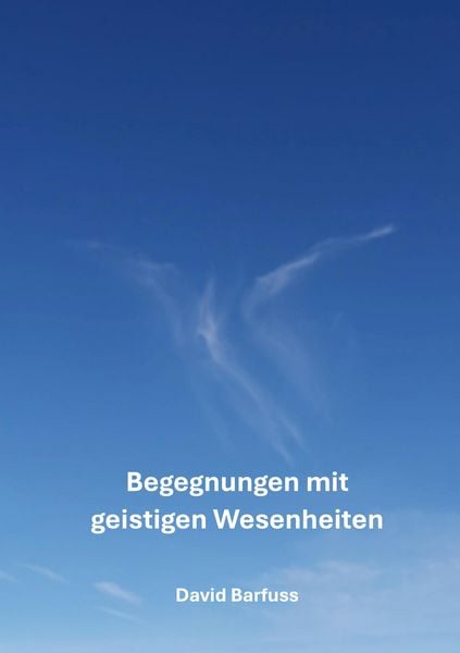 Produktbild: Begegnungen mit geistigen Wesenheiten