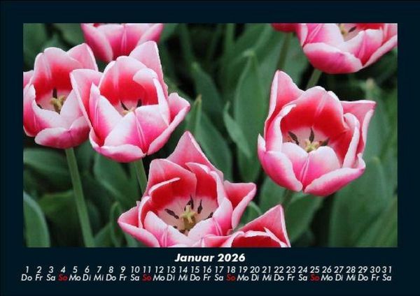 Produktbild: Natur 2026 Fotokalender DIN A5
