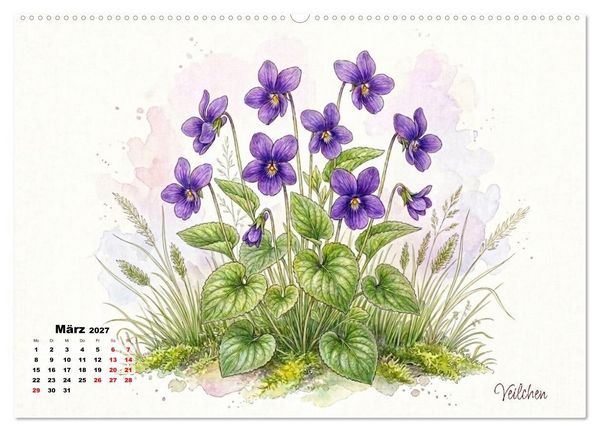 Produktbild: Wilde Kostbarkeiten &ndash; Essbar, gesund & wundersch&ouml;n (hochwertiger Premium Wandkalender 2027 DIN A2 quer), Kunstdruck in Hochglanz