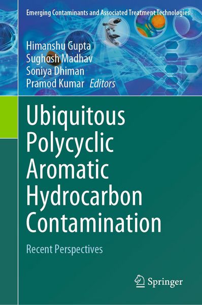 Produktbild: Ubiquitous Polycyclic Aromatic Hydrocarbon Contamination