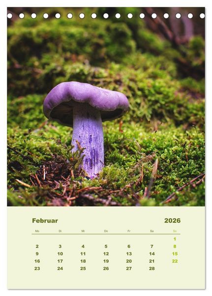 Produktbild: Wundersame Welt der Pilze (Tischkalender 2026 DIN A5 hoch), CALVENDO Monatskalender