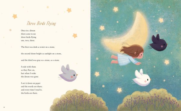 Produktbild: Starry Blankets