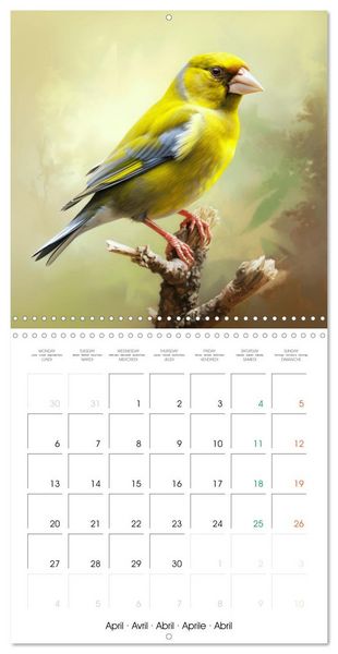 Produktbild: Ailes en sc&egrave;ne (Calendrier mural carr&eacute; 2026 30x30 cm) Calendrier double avec une page pour vos prises de notes