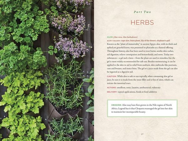 Produktbild: Healing Herbs Handbook