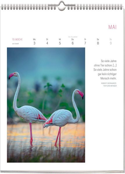 Produktbild: Literarischer Vogel Kalender 2027