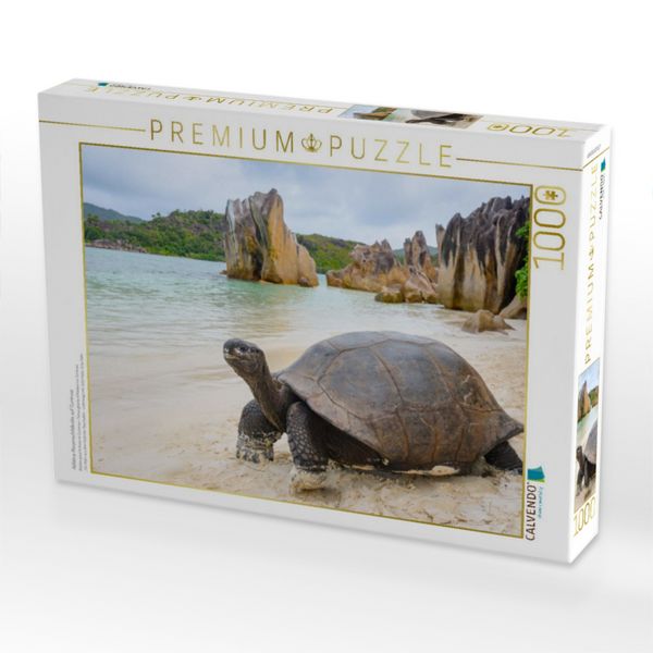 Produktbild: CALVENDO Puzzle Aldabra-Riesenschildkr&ouml;te auf Curieuse | 1000 Teile Lege-Gr&ouml;&szlig;e 64x48cm Foto-Puzzle f&uuml;r gl&uuml;ckliche Stunden