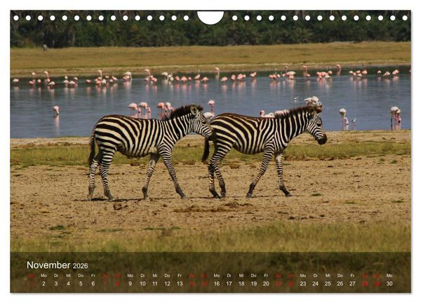 Produktbild: Ostafrika - Tansania und Kenia hautnah (Wandkalender 2026 DIN A4 quer), CALVENDO Monatskalender