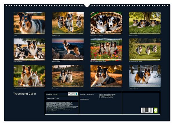 Produktbild: Traumhund Collie (Wandkalender 2026 DIN A2 quer), CALVENDO Monatskalender