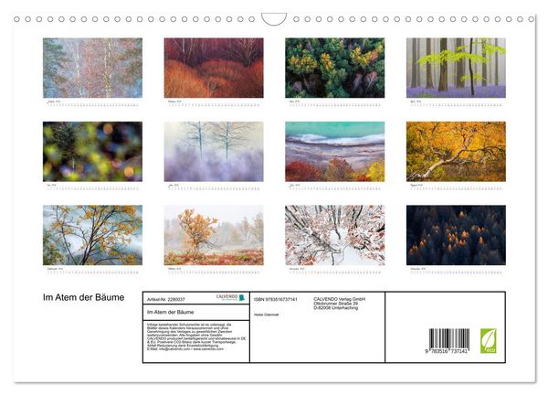 Produktbild: Im Atem der B&auml;ume (Wandkalender 2026 DIN A3 quer), CALVENDO Monatskalender