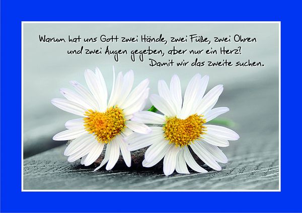 Produktbild: Wundervolles entdecken