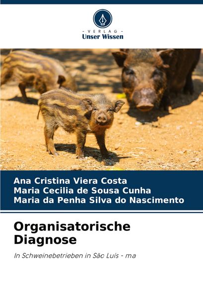 Produktbild: Organisatorische Diagnose