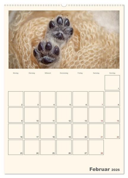 Produktbild: Zauberhafte Golden Retriever (hochwertiger Premium Wandkalender 2026 DIN A2 hoch), Kunstdruck in Hochglanz