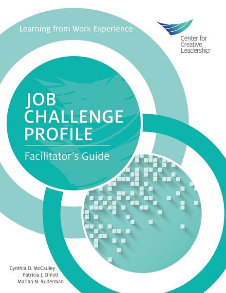 Produktbild: Job Challenge Profile