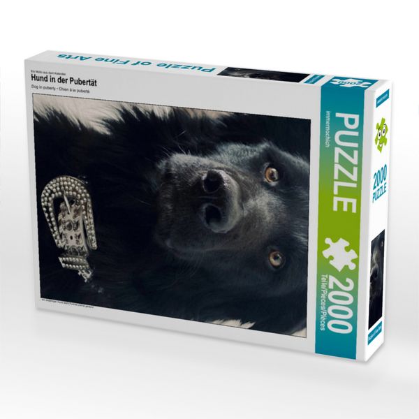 Produktbild: CALVENDO Puzzle Hund in der Pubert&auml;t | 2000 Teile Lege-Gr&ouml;&szlig;e 90x67cm Foto-Puzzle f&uuml;r gl&uuml;ckliche Stunden