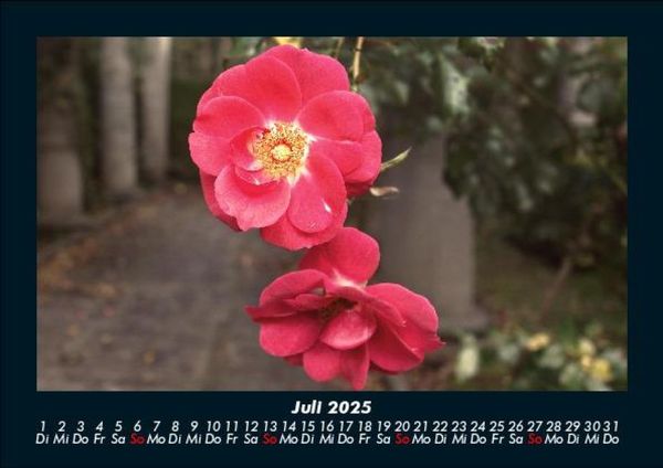 Produktbild: Pflanzen und Bl&uuml;ten 2025 Fotokalender DIN A5