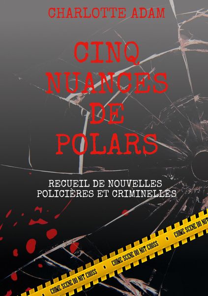Produktbild: Cinq nuances de polars