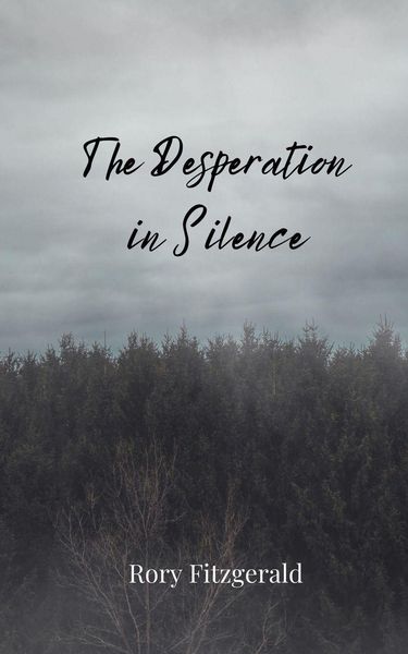 Produktbild: The Desperation in Silence