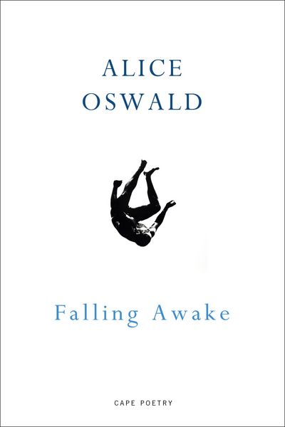 Produktbild: Falling Awake