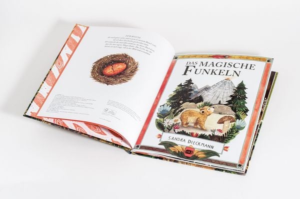 Produktbild: Das magische Funkeln