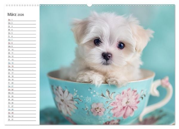 Produktbild: Hundegl&uuml;ck (Wandkalender 2026 DIN A2 quer), CALVENDO Monatskalender