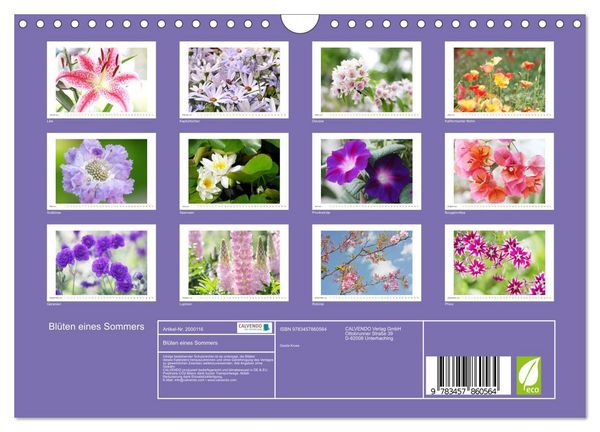 Produktbild: Bl&uuml;ten eines Sommers (Wandkalender 2026 DIN A4 quer), CALVENDO Monatskalender
