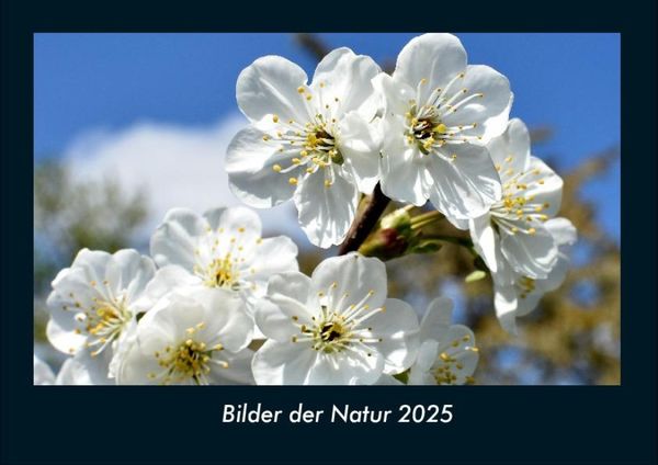 Bilder der Natur 2025 Fotokalender DIN A4