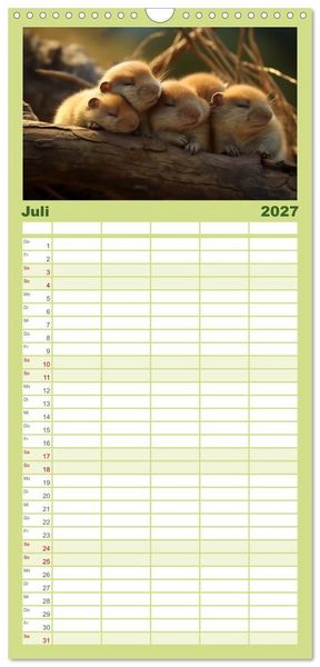 Produktbild: Familienplaner 2027 - Nach Art der Lemminge mit 5 Spalten (Wandkalender, 21 x 45 cm) CALVENDO