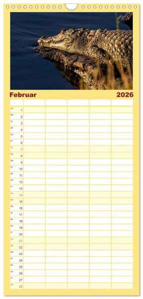 Produktbild: Familienplaner 2026 - Komm mit auf Safari! Botswana und S&uuml;dafrika mit 5 Spalten (Wandkalender, 21 x 45 cm) CALVENDO