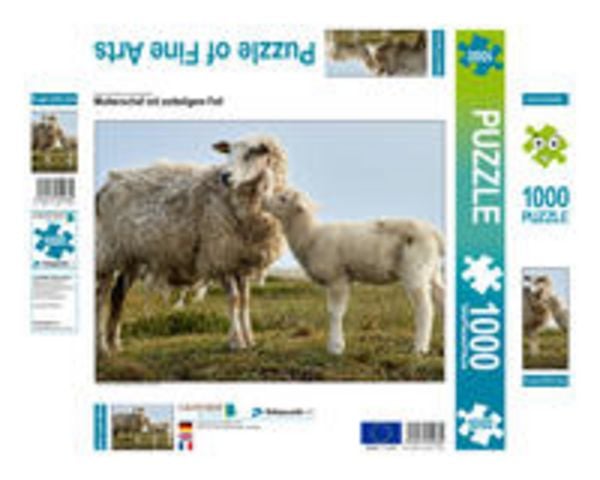 CALVENDO Puzzle Mutterschaf mit zotteligem Fell | 1000 Teile Lege-Größe 64x48cm Foto-Puzzle für glückliche Stunden