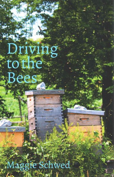Produktbild: Driving to the Bees