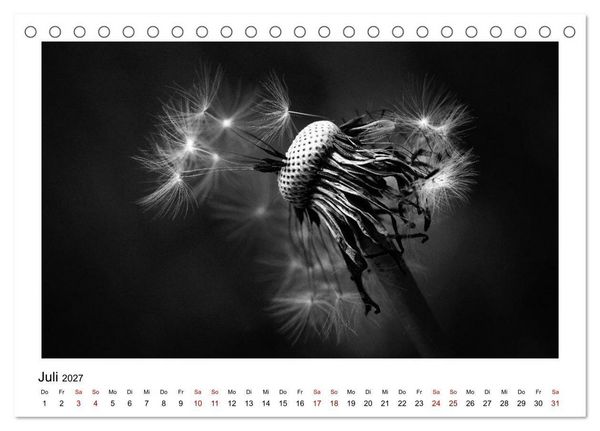 Produktbild: Die grafische Sch&ouml;nheit der Pflanzen &ndash; Schwarz-Wei&szlig; (Tischkalender 2027 DIN A5 quer), CALVENDO Monatskalender