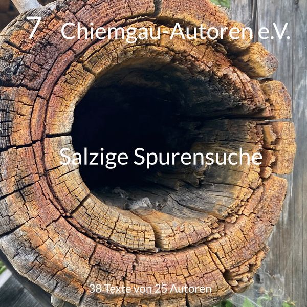 Salzige Spurensuche, Taschenbuch von , BoD – Books on Demand, 9783759799616