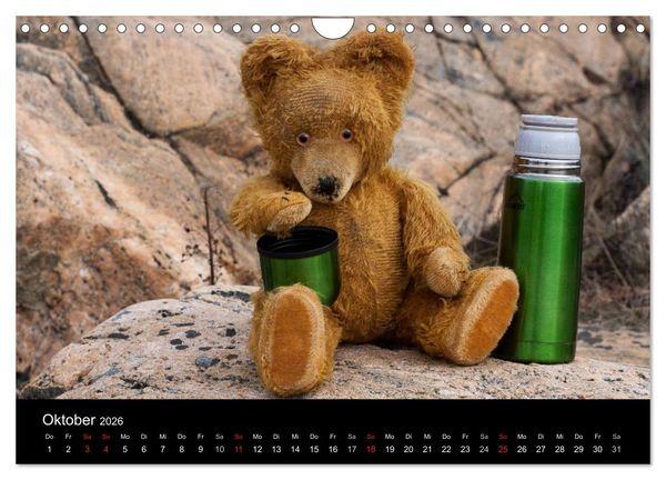 Produktbild: Teddy Basse, Fortsetzung... (Wandkalender 2026 DIN A4 quer), CALVENDO Monatskalender