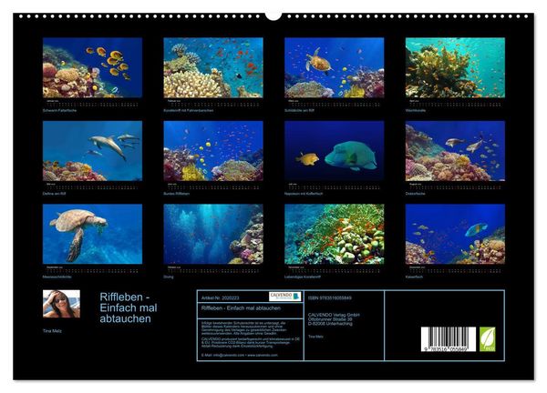 Produktbild: Riffleben - Einfach mal abtauchen (hochwertiger Premium Wandkalender 2026 DIN A2 quer), Kunstdruck in Hochglanz