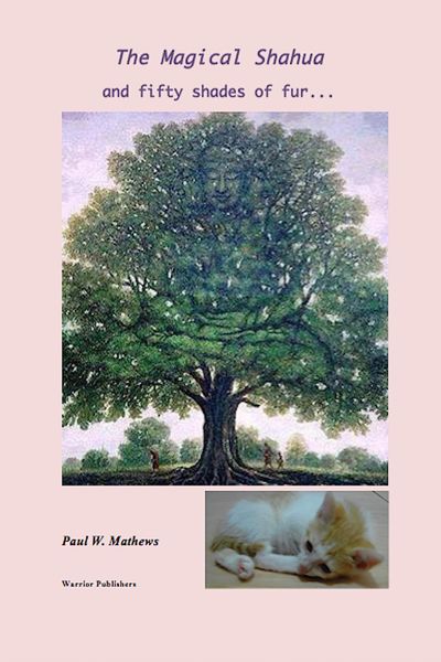 Produktbild: The Magical Shahua and Fifty Shades of Fur